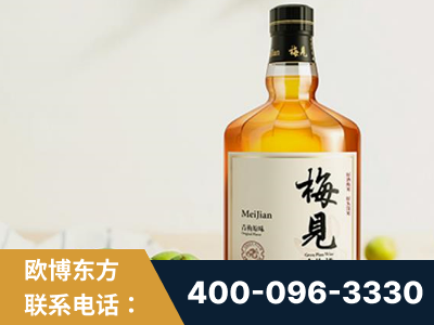 盖州-梅见青梅酒