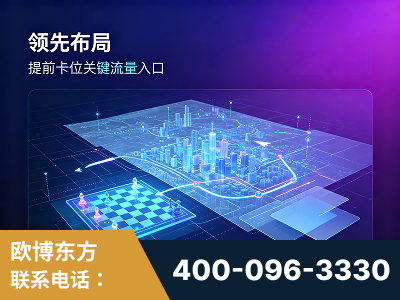盖州-领先布局：于2024年初开启GEO业务的公司